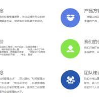 上海速人企業管理 專業IT技術外包與軟件開發解決方案