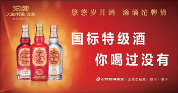 濮陽(yáng)審車(chē)VIP通道 快速便捷體驗(yàn)，酒類(lèi)經(jīng)營(yíng)人士?jī)?yōu)先報(bào)名